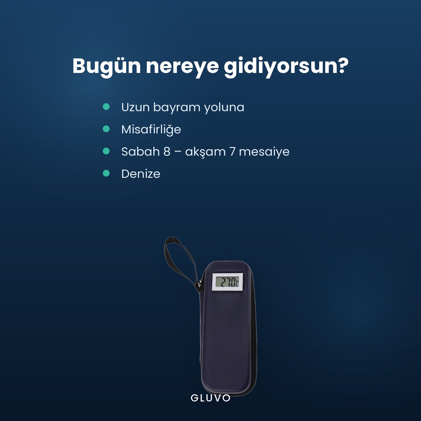 insulin taşıma çantası